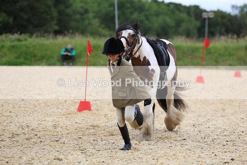 3E7A9686 - Walk trot run