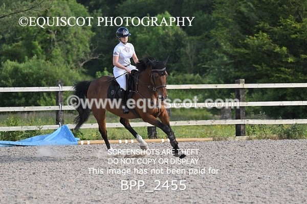 BPP_2455 - CLASS 4 Senior British Novice/ 90cm Open