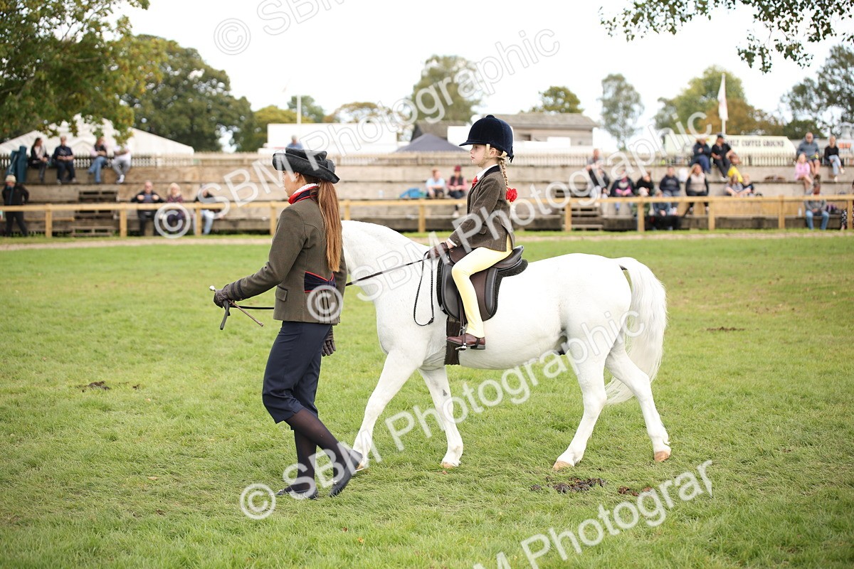 SBM_50008 - S26 - Young Veteran - Ridden