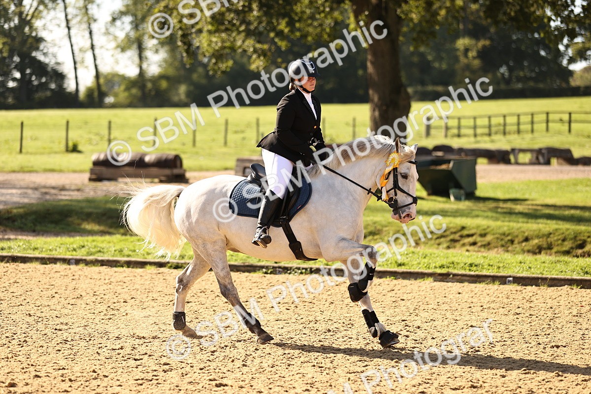 SBM_35241 - J38 - Senior 80cm Championship