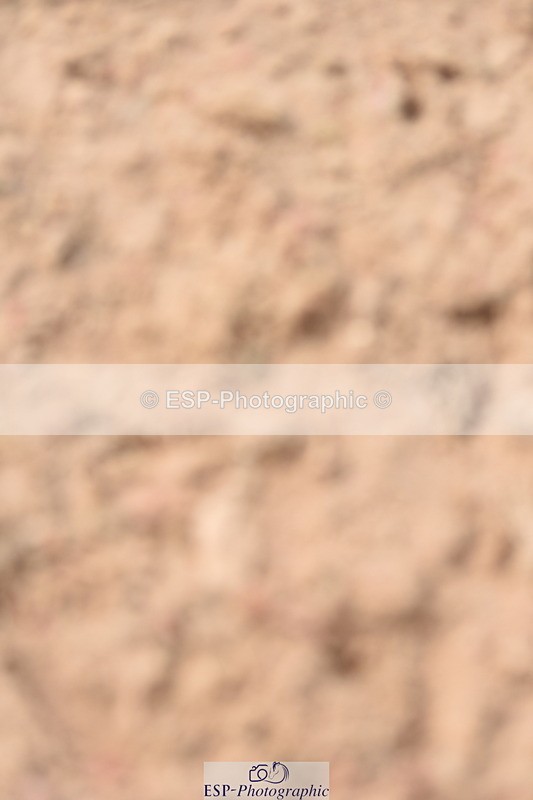 230902A-123706-01074 - Cls 9 1.10m Amateur Quali