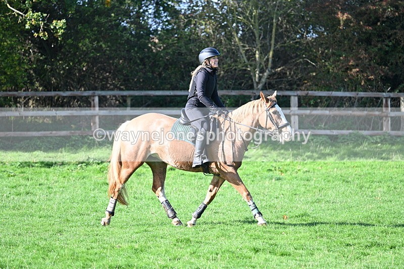 WJ7_7369 - Time 10:30 to 11:38