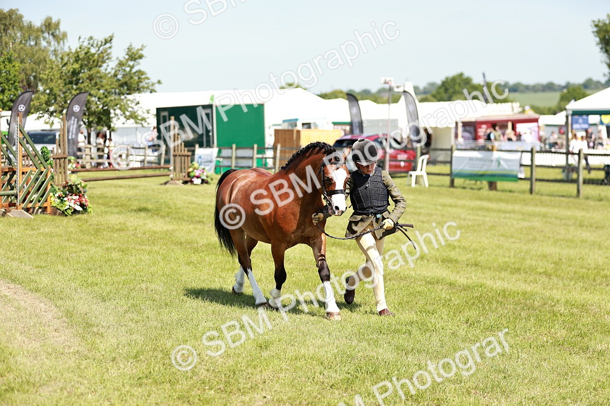 SBM_13604 - Class 108-109 - BSPS LIHS Open Gradle & Nursery Stakes