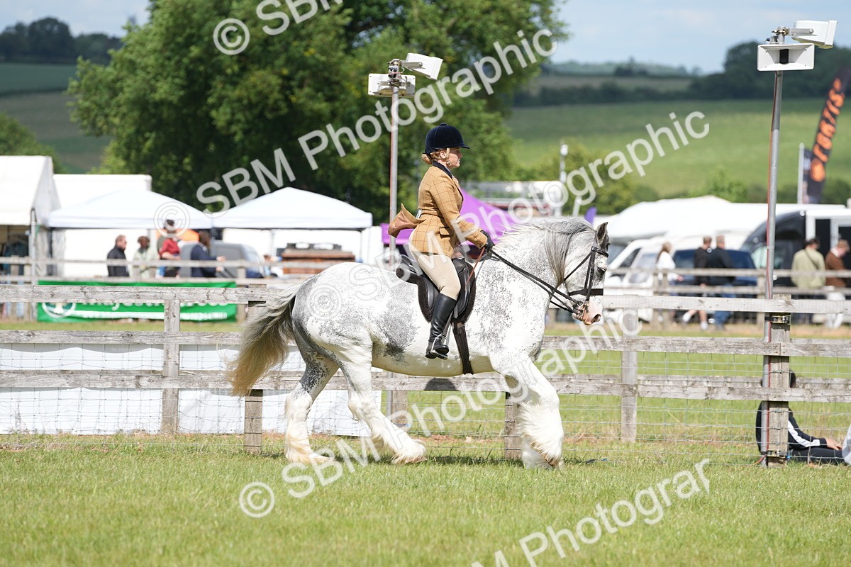 SBM_17257 - Class 107-108 - LIHS BSPS Performance Coloured Horse Pony