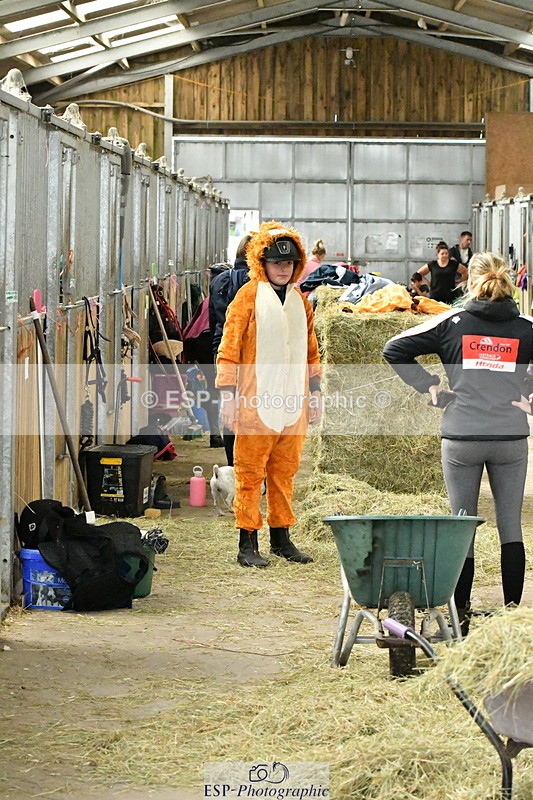 230804A-094658-01515 - Stable Shots