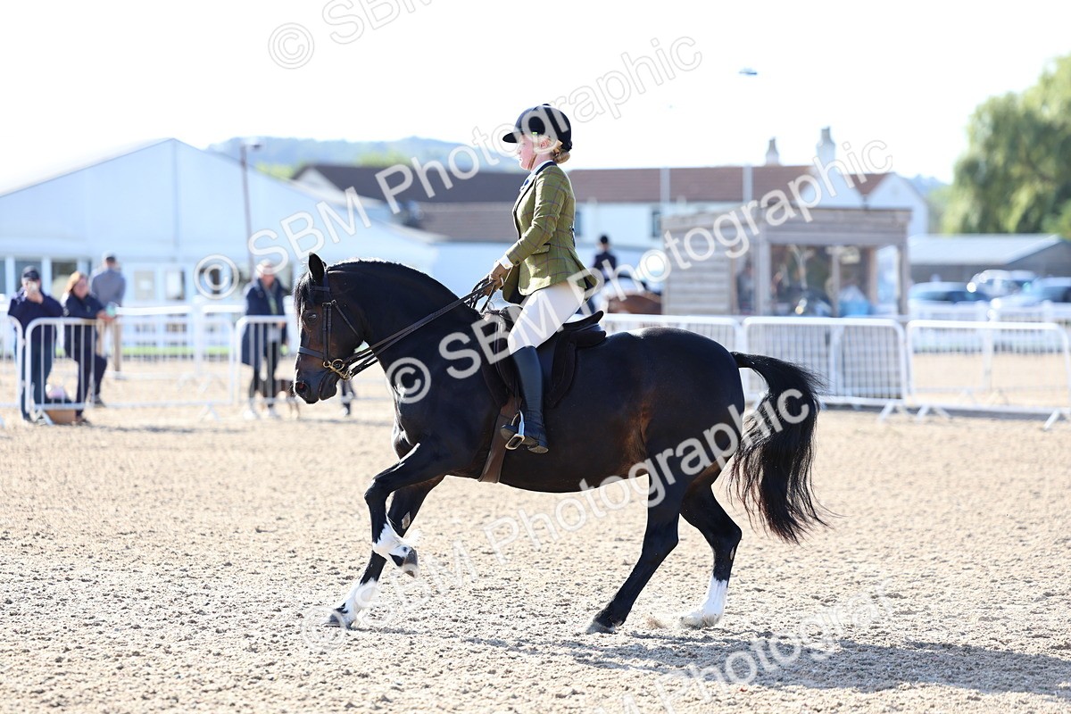 SBM_08894 - Class 302 - Ridden M&M - Large Breeds