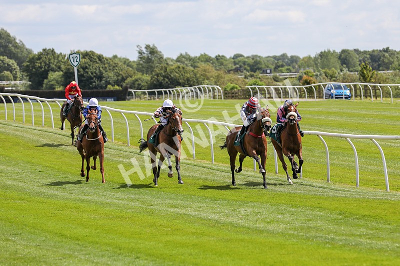 080624-Race 1-Rapido Girl-4469 - Race 1