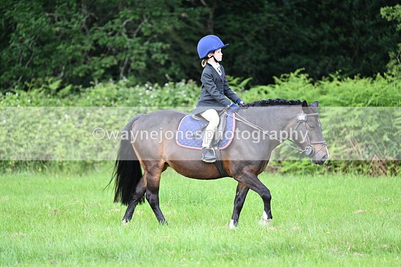 WJ7_1036 - Class 11 Condition & Turnout