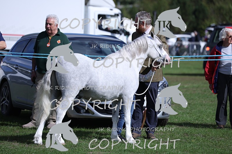 APP_2761 - Class 10a/b M&M in hand