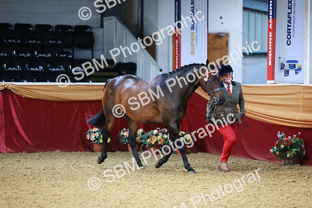 SBM_21700 - Class 901 - Supreme Final - IH  Diamond