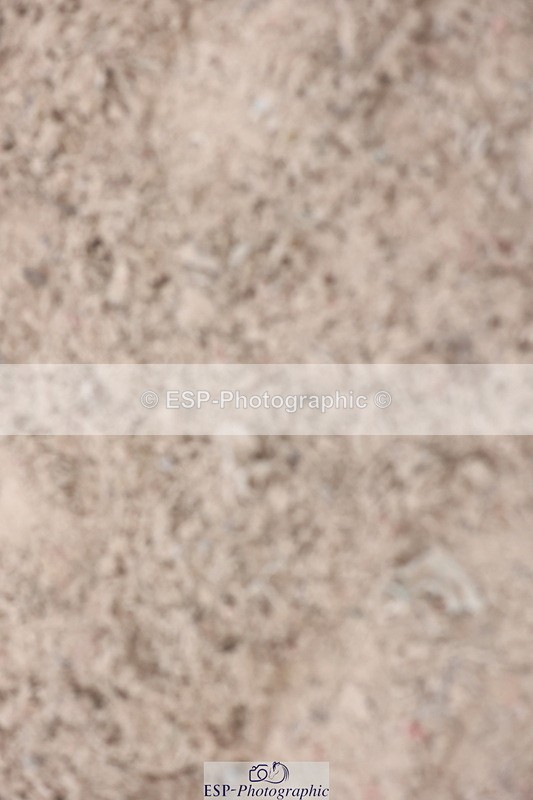 241101A-154030-03083 - FRI Cls 7 Blue Chip Grade B&C Jump Off