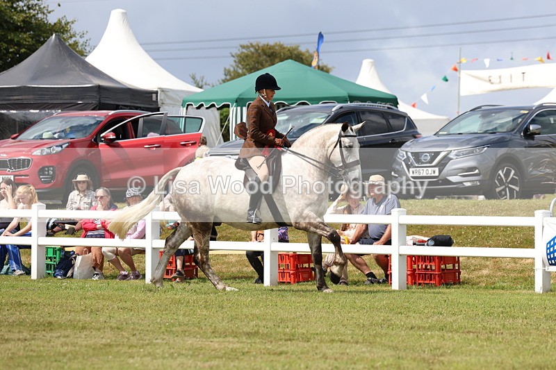 3E7A0492 - Rising Star Ridden Championship