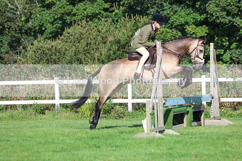 3E7A7737 - Class 2: Open Working Hunter pony