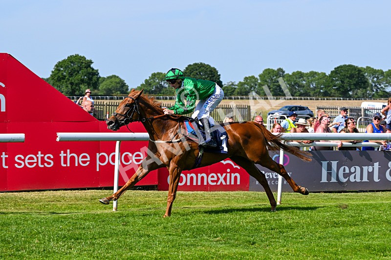230626-Race 5-Percys Daydream-1497 - Race 5 16.17pm Humberside Airport Handicap