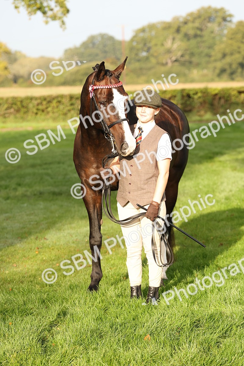 SBM_54970 - S52 - Riding Horse & Hack & thoroughbred In Hand
