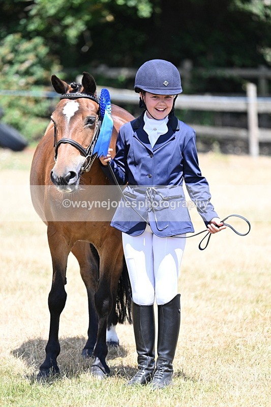 WJ7_2246 - Class 5 Most Handsome Gelding (up to 14.2hh) in hand