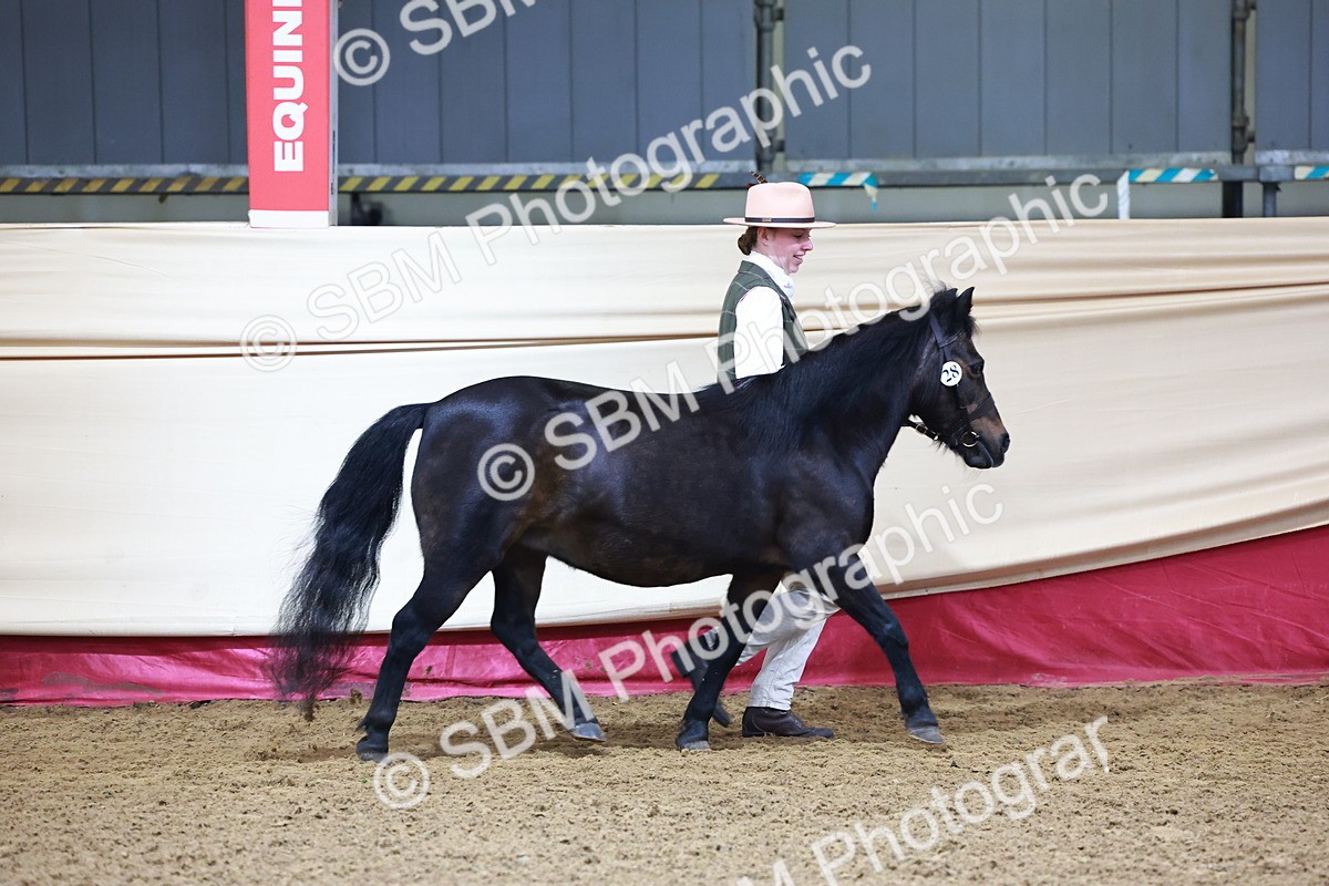 SBM_21764 - Class 901 - Supreme Final - IH  Diamond