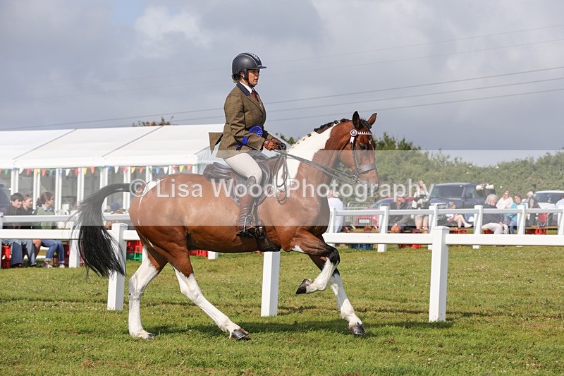 1X9A3502 - Skewbald and Piebald Ridden Championship