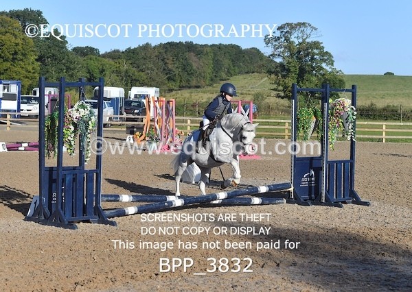 BPP_3832 - CLASS 0 Clear Round Show Jumping