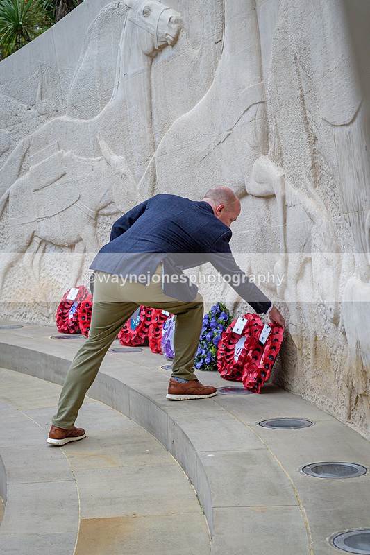NGP_8221 - 2024 Animals in War Remembrance Gathering