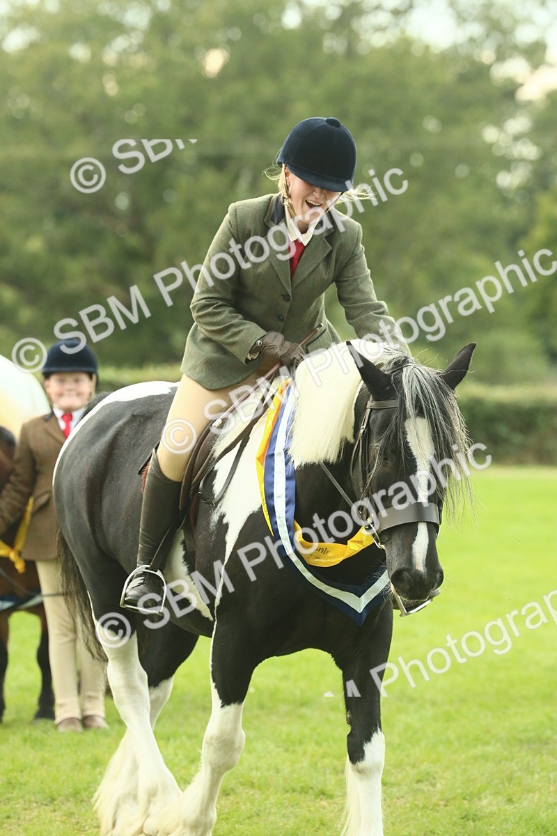 SBM_75283 - Super Supreme Championship