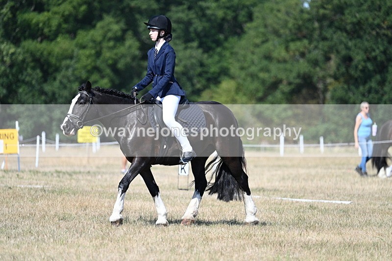 WJ7_0202 - Time 11:03 to 11:28