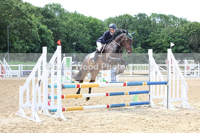 3E7A3110 - Class 4: Senior British Novice/90cm open