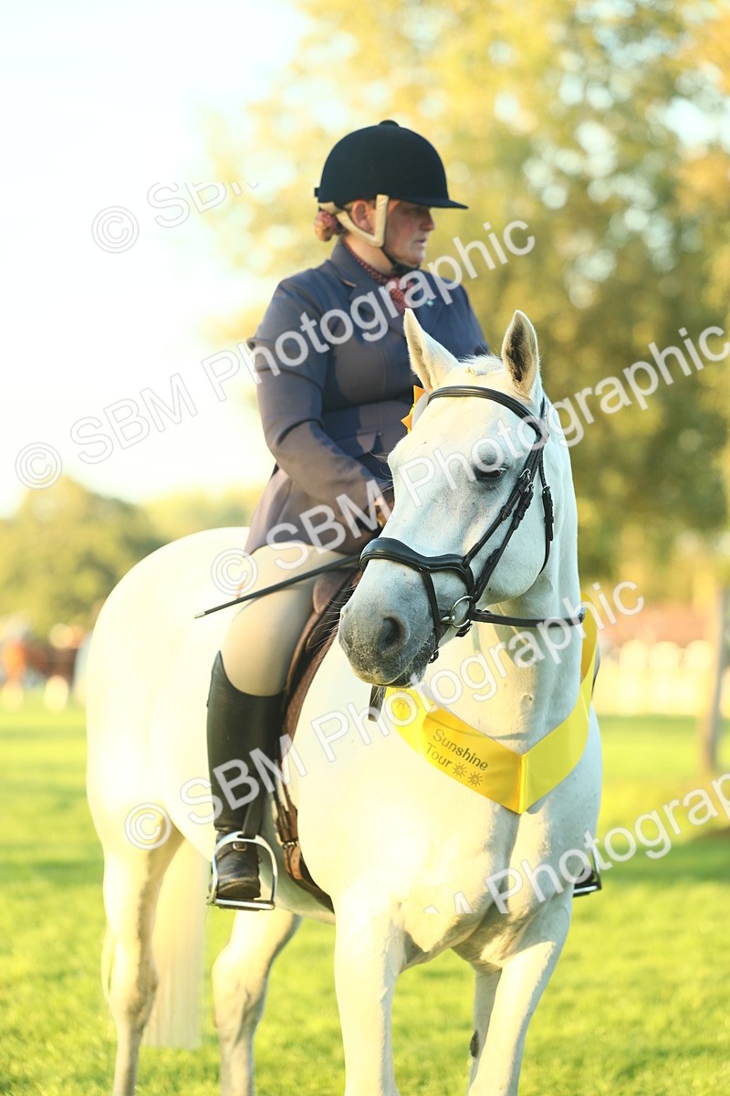 SBM_56521 - S14 - Riding Club Horse
