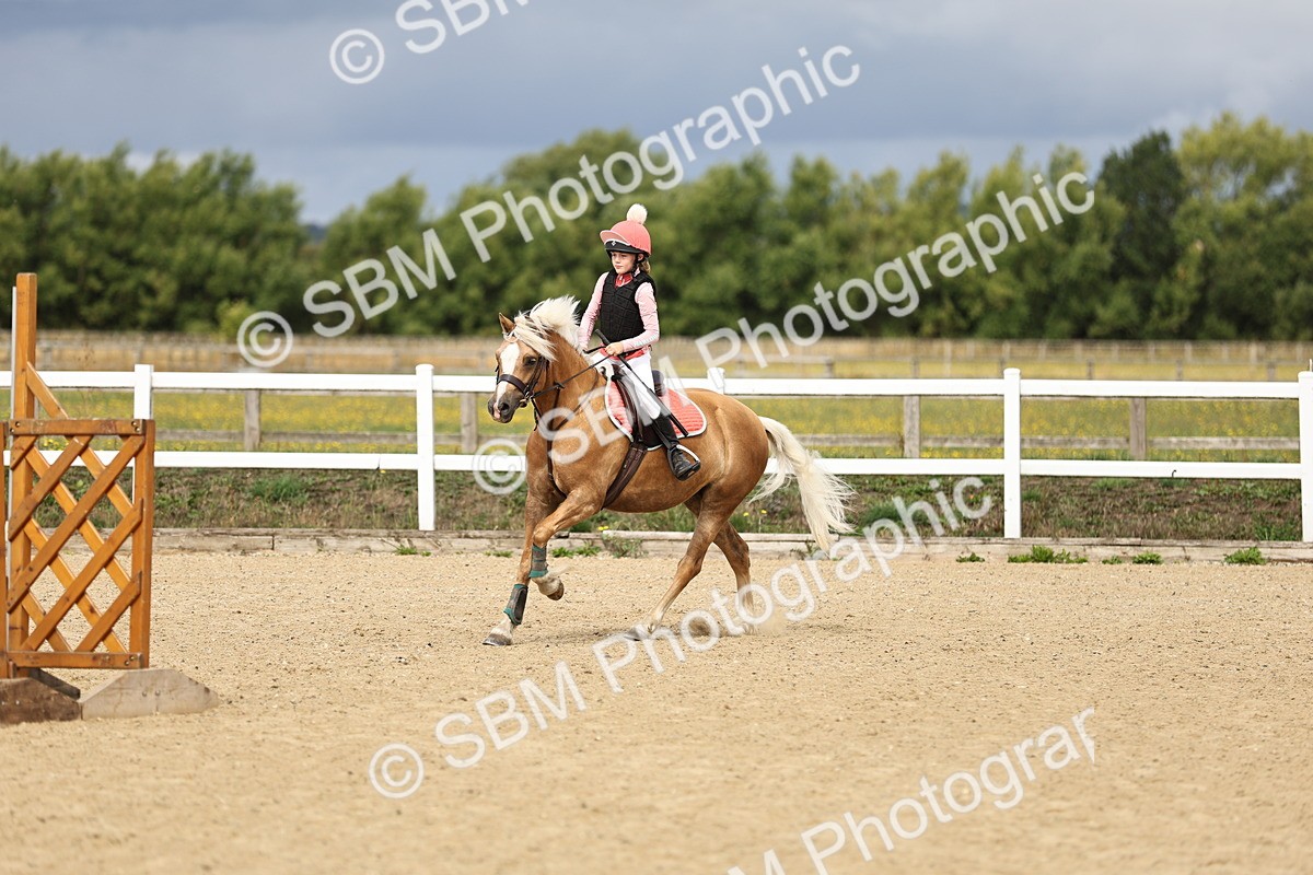 SBM_002927 - 50cm