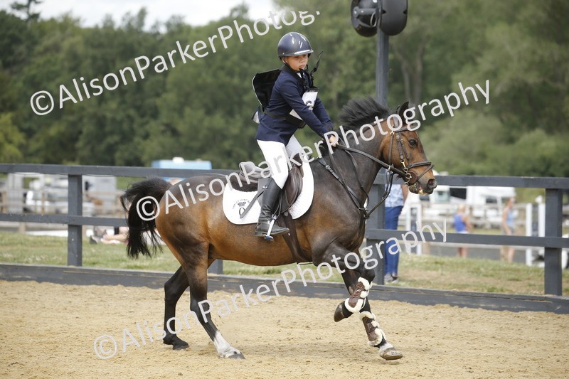 20250622-4728 - 50cm