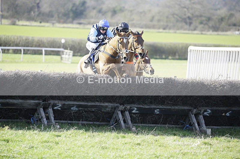 PtP 260222 384 - Kingston Blount Racing Club Point-to-Point 26/02/22