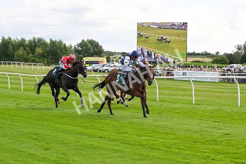 060824-Race 4-One Of Our Own-2786 - Race 4