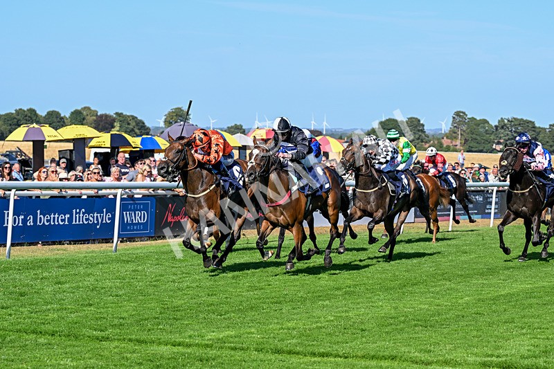 120826-Race 6-Rumble Ruby-7486 - Race 6 16.45pm Nation Radio Yorkshire Handicap