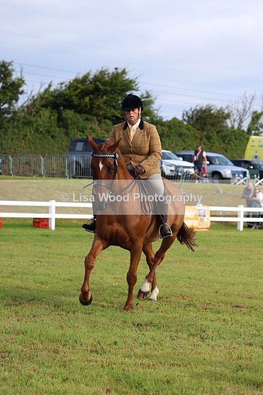 3E7A8226 - Class 2: Rising Star Large Hack/Riding Horse