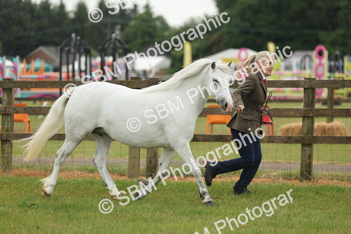 SBM_01461 - Class 50-57 - M&M Welsh Pony In Hand