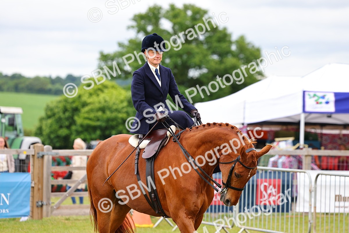 SBM_02920 - Class 9-11 Side Saddle including LIHS Rising Star Ladies Show Horse