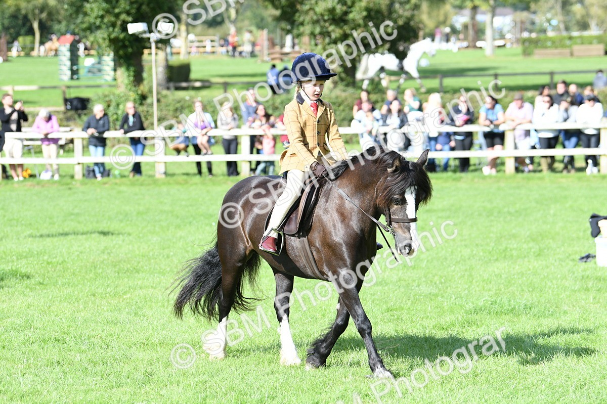 SBM_50285 - S21 - Novice & Newcomers 1st Ridden Pony