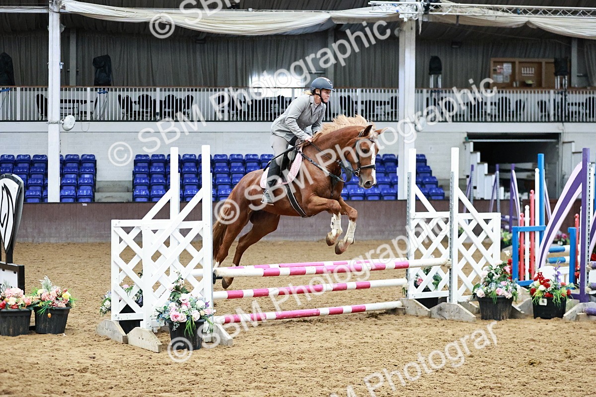 SBM_000086 - Class 1 - Clear Round Show Jumping 80cm