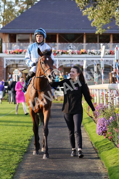 yr08102021r6-27 - Race 6 4.55pm Frank Whittle Partnership British EBF Restricted Novice Stakes