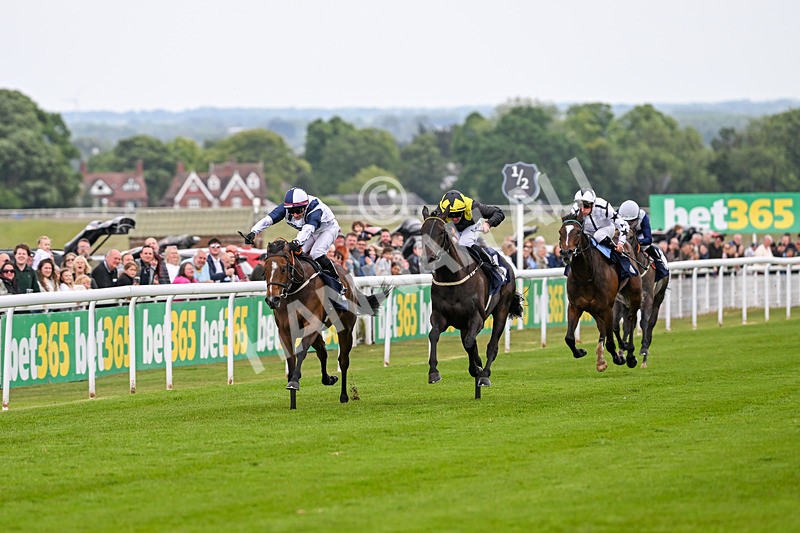 240525-Race 2-Argentine Tango-0245 - Race 2