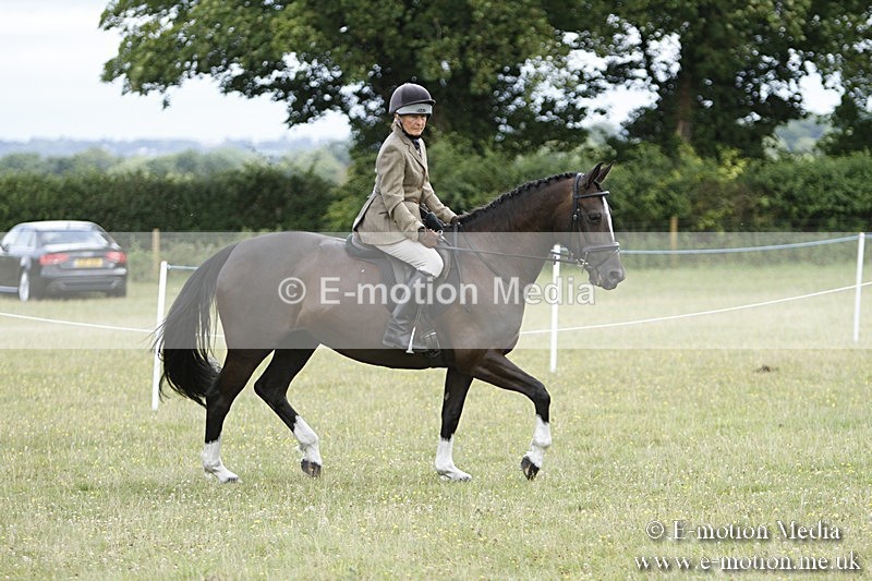 BVR160717-1839 - Ring 3 BVRC Show 16/07/17