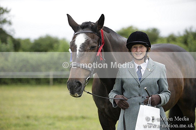 BVR160717-743 - Ring 2 BVRC Show 16/07/17