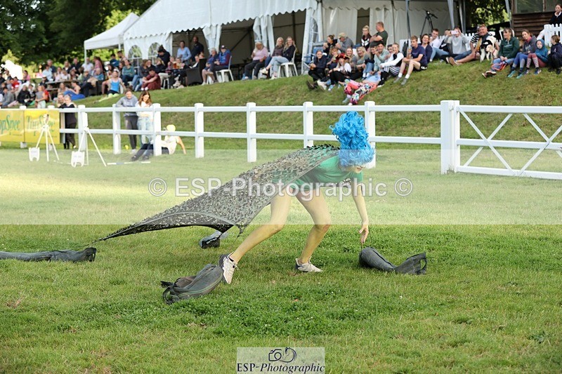 240711-200004-30620 - Cls 210 Jolly Jumps Run and Run