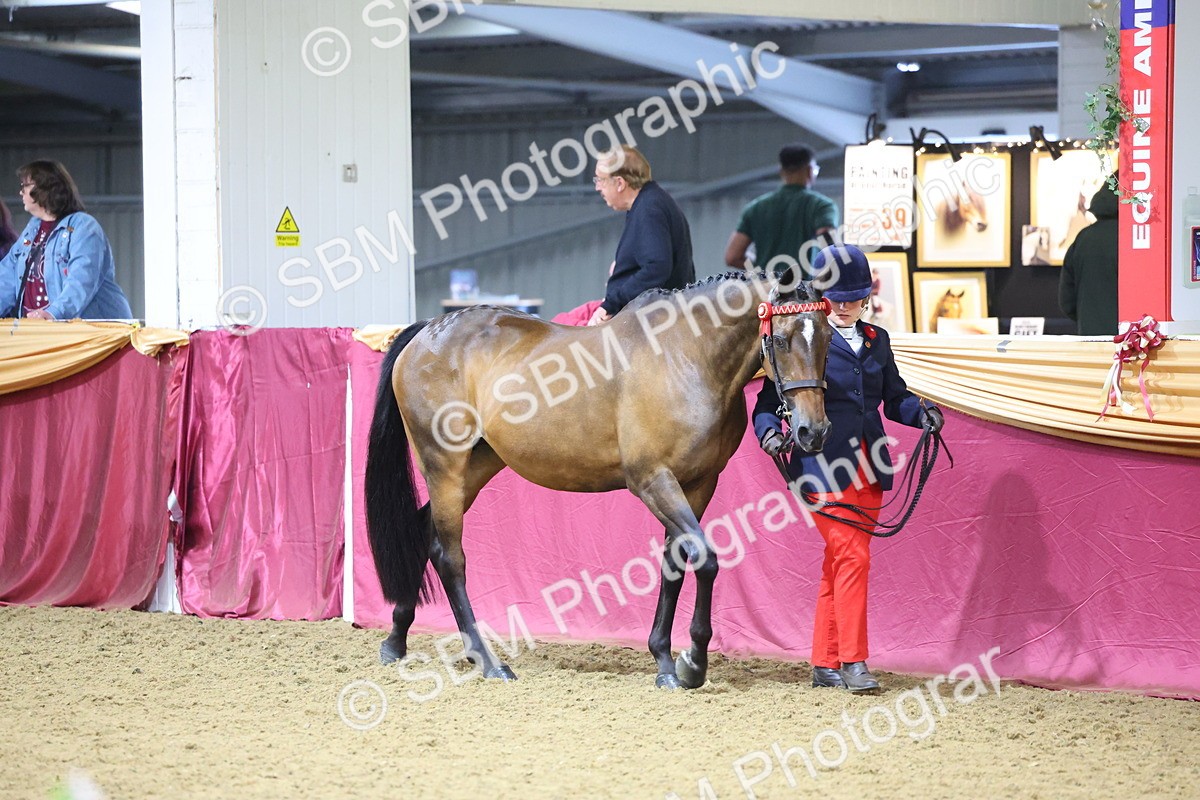 SBM_20950 - Class 902 - Supreme Final IH Veteran