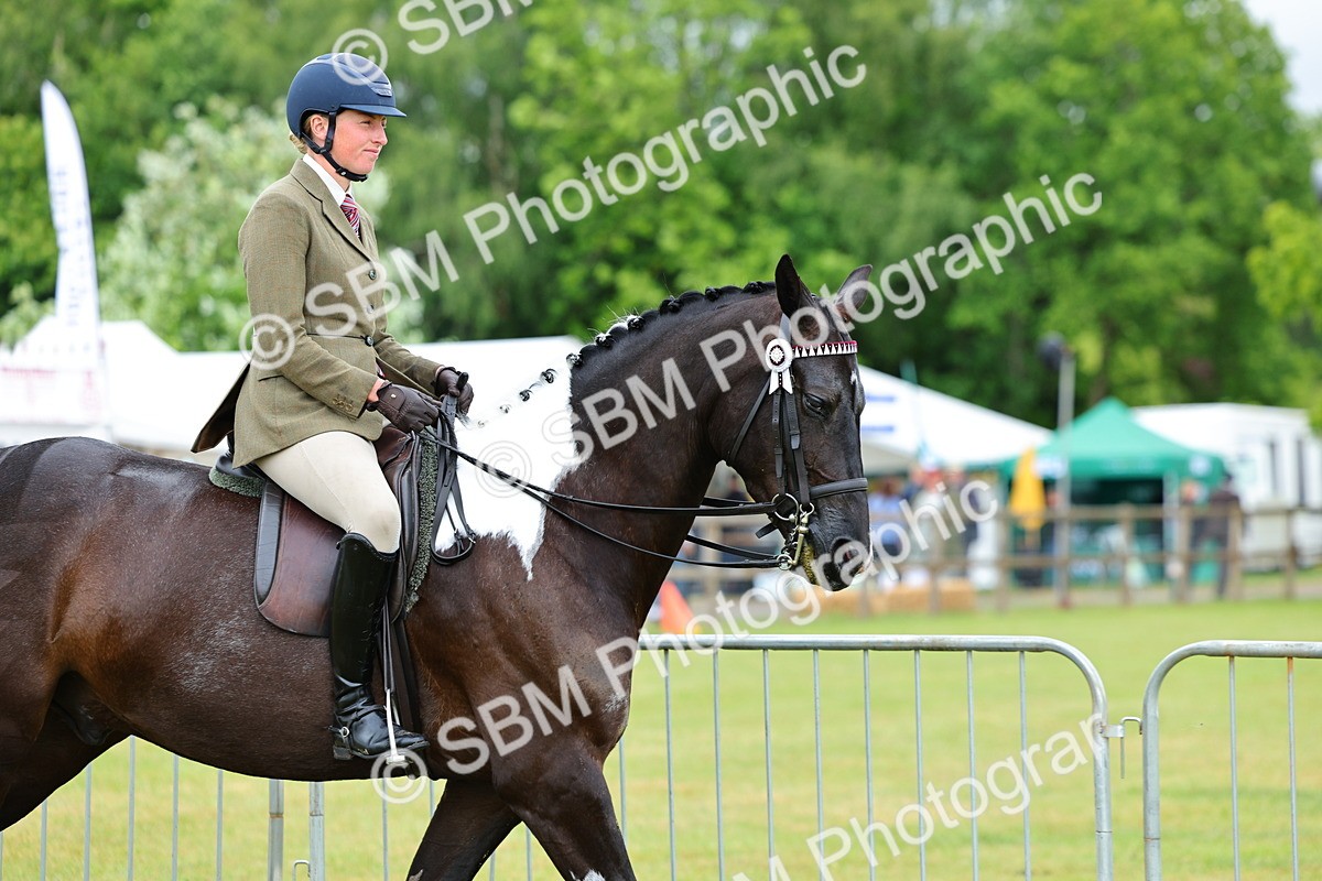 SBM_02467 - Class 9-11 Side Saddle including LIHS Rising Star Ladies Show Horse