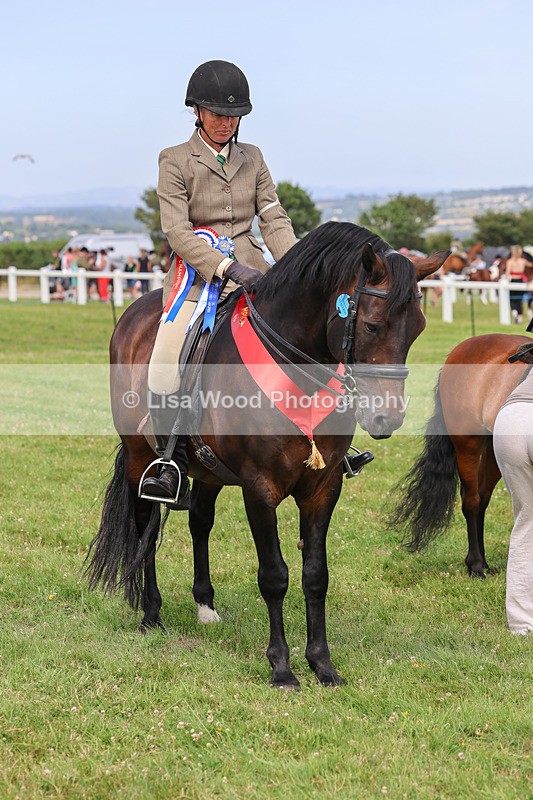 IMG_3738 - M & M Ridden Championship