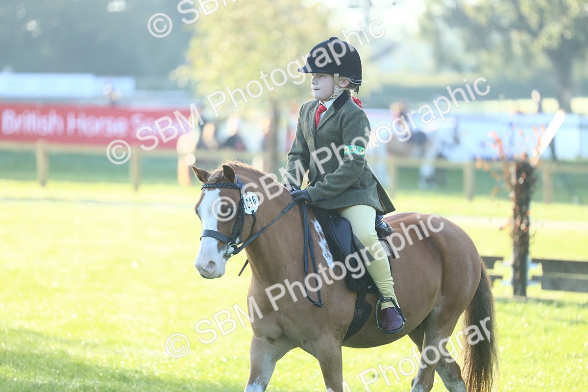 SBM_37237 - S29 - Novice & Newcomers Working Hunter Pony
