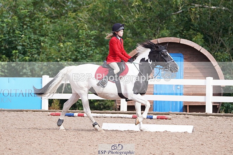 240809A-102600-00541 - Dressage Competition