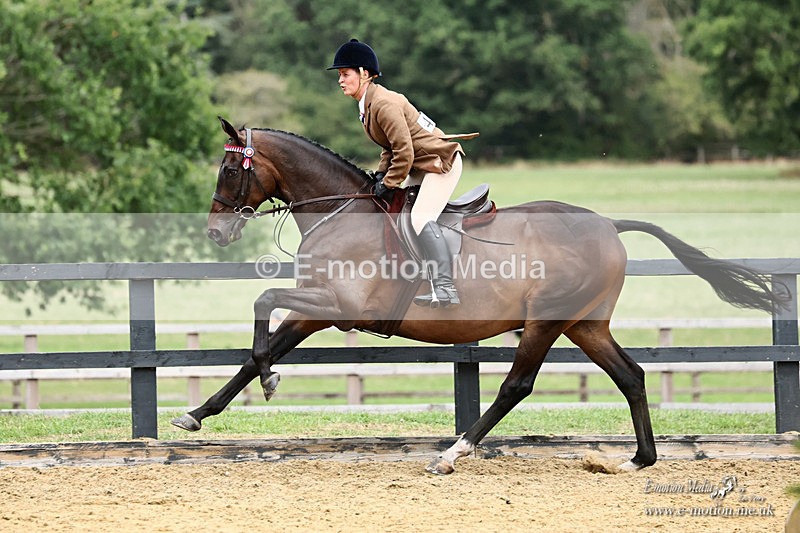 BSHA 110926 1180a - Equestrian