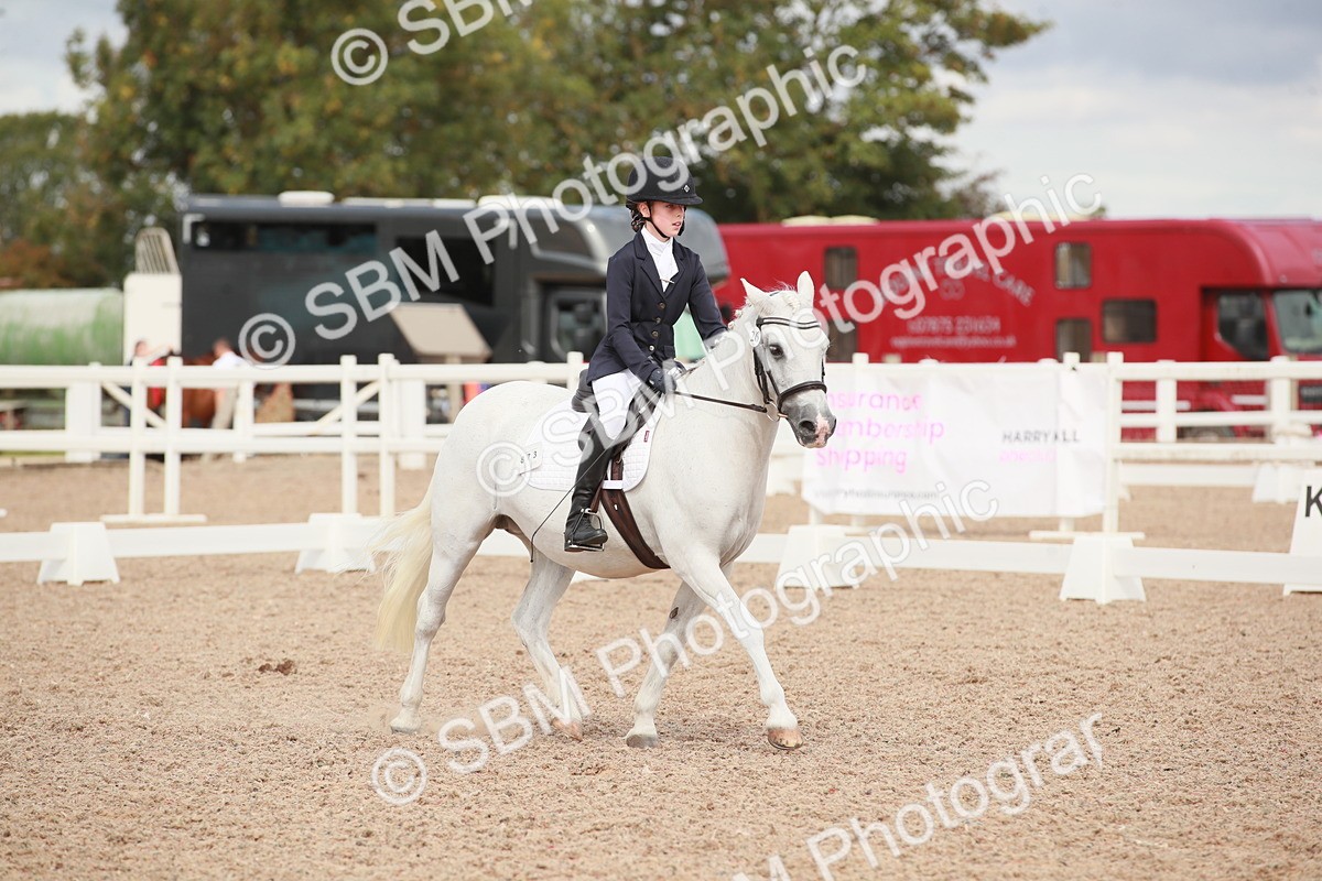 SBM_03989 - Class 31 - Prelim 1